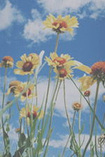 /upload/2019/10/31/filter-21.jpg?w=1000