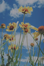 /upload/2019/10/31/filter-22.jpg?w=1000