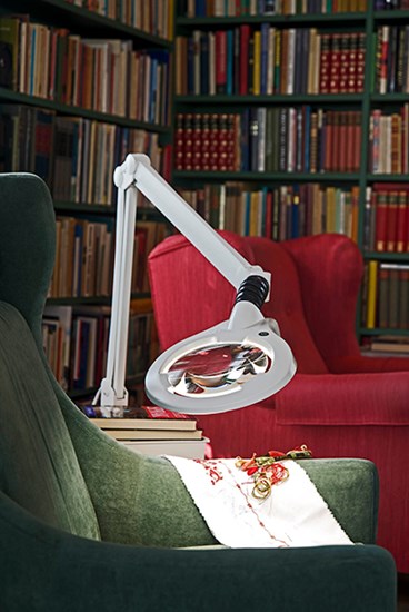 /upload/2025/08/05/circus-led-environment-som.jpg?w=1000